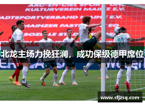 北龙主场力挽狂澜，成功保级德甲席位
